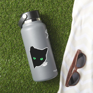 black cat with green eyes  