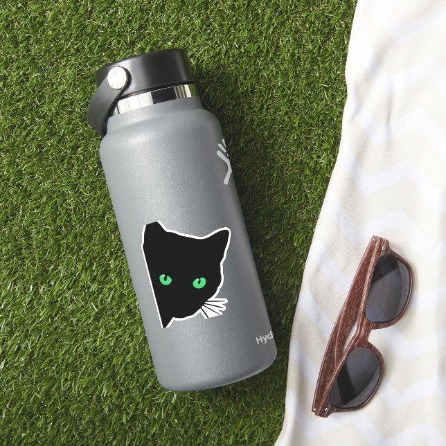 black cat with green eyes   (HydroFlask Insitu)