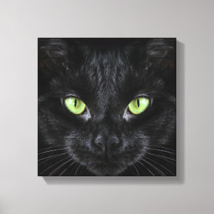 Black Cat with Green Eyes Canvas Print