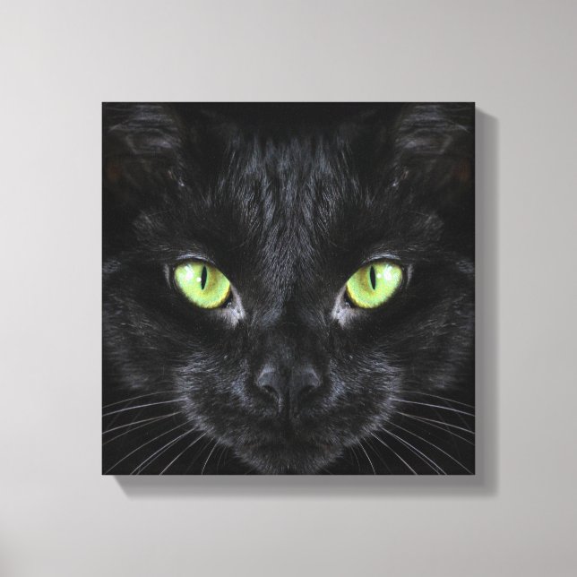Black Cat with Green Eyes Canvas Print (Front)