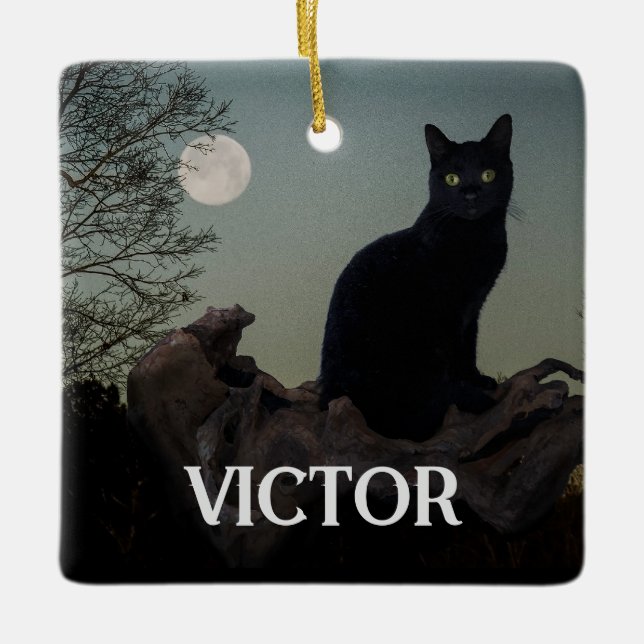 Black Cat with Moon on Tree Limb Ceramic Ornament (Front)