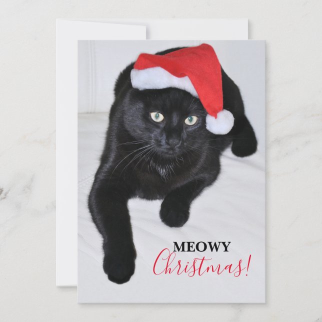 Black Cat with the Red Santa Hat Holiday Card (Front)
