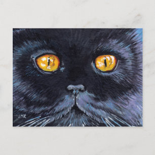 Black Cat with Yellow Eyes   Cat Art Postcard