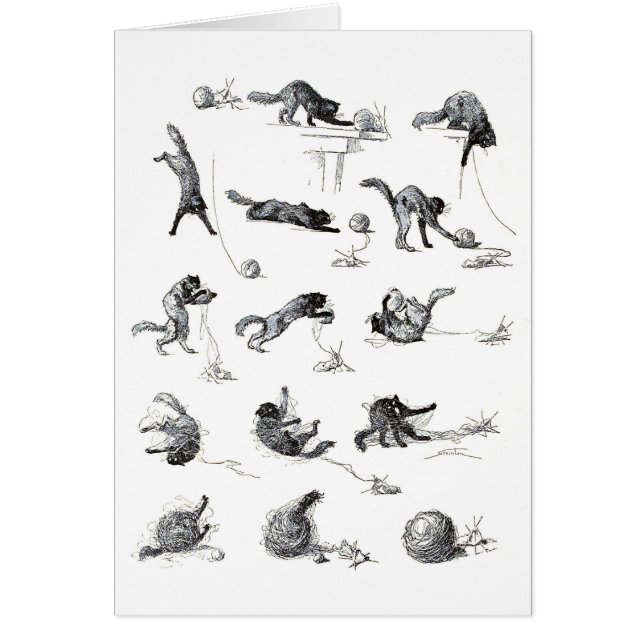 Black cat & Woollen yarn ball, Alexandre Steinlen (Front)