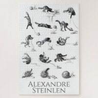 Black cat & Woollen yarn ball, Alexandre Steinlen