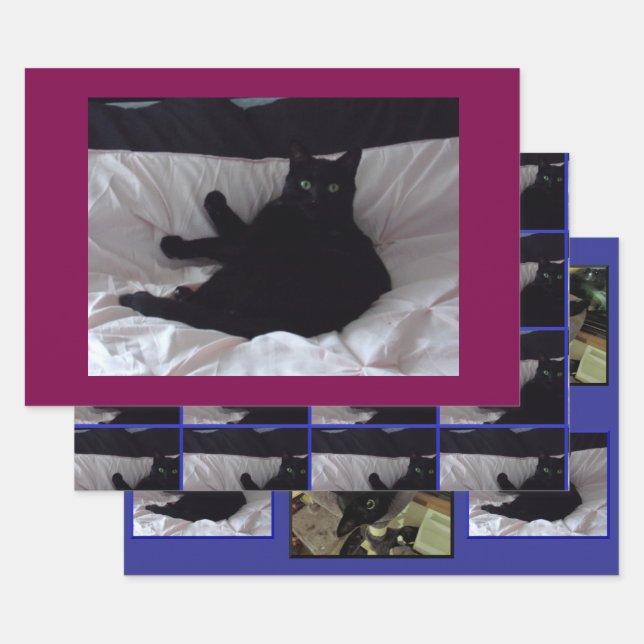 Black Cat Wrapping Paper Flat set of 3 sheets (Set)