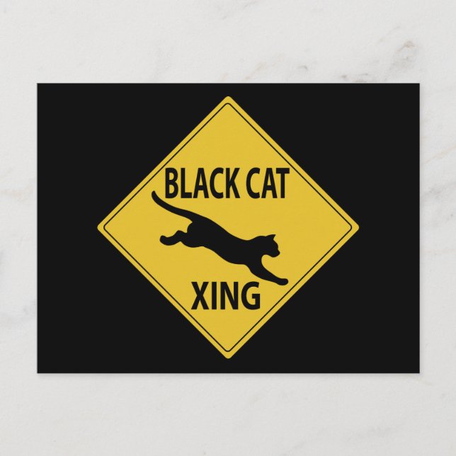 Black Cat Xing Postcard (Front)