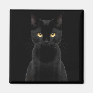 Black Cat Yellow Eyes Angry Cat Funny Staring Cat Magnet