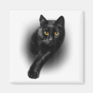 Black Cat Yellow Eyes Cats Tee Gifts Mothers Day Magnet