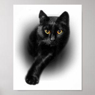 Black Cat Yellow Eyes T-Shirt Cats Tee Poster