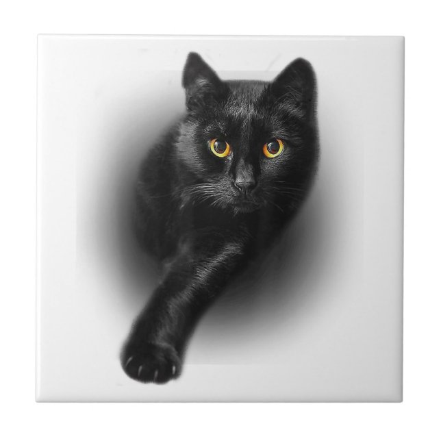 Black Cat Yellow Eyes T-Shirt Cats Tee Tile (Front)