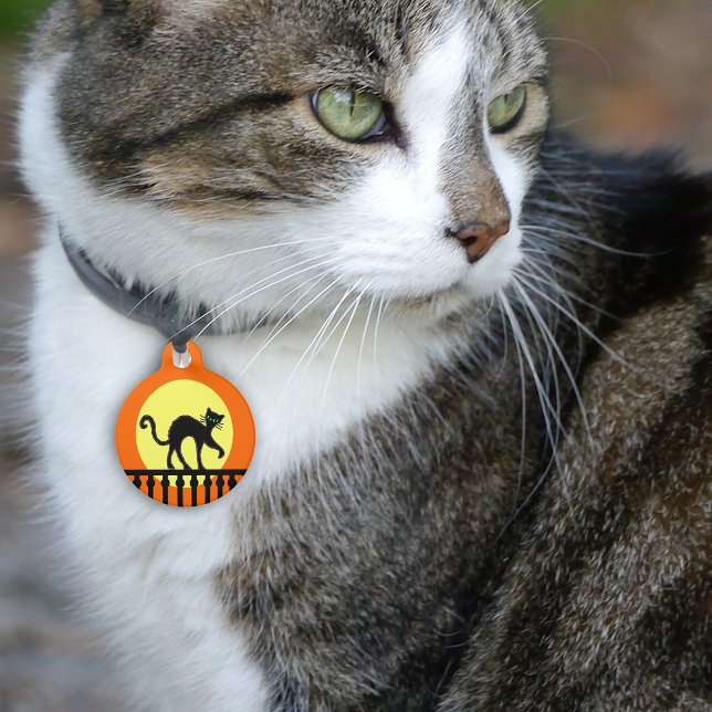 Black Cat Yellow Moon Fence Pet Tag (Black cat green eyes on fence full moon on orange pet name tag.)