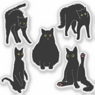 Black Cats 