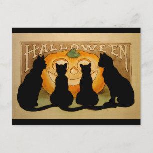 Black Cats and a Jack O'Lantern Postcard