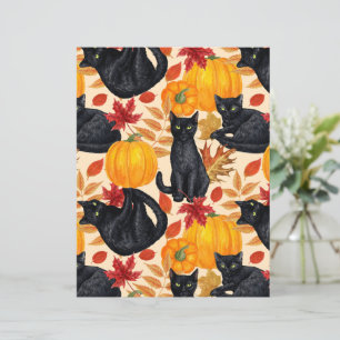 Black cats and pumpkins 