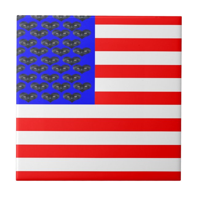 Black Cats And Stripes Flag Tile (Front)