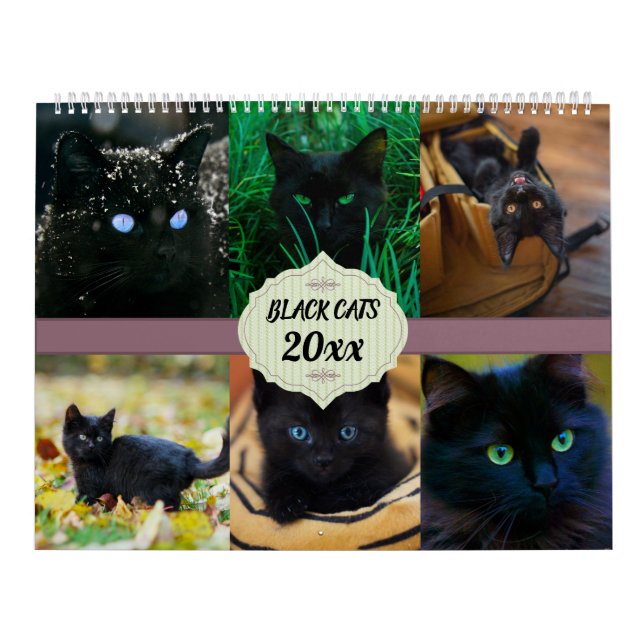 Black Cats Calendar (Cover)
