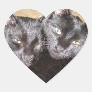 Black Cats Heart Sticker
