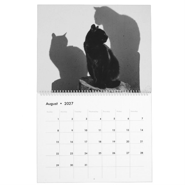 Black Cats & Kittens Cute Kitty Cat 2021 Calendar (Aug 2027)