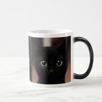 Black Cats Magic Mug