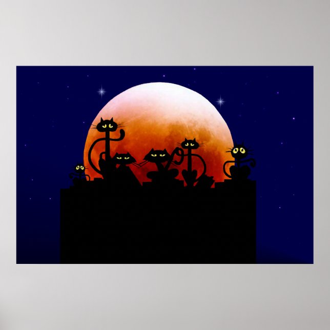 Black Cats On A Fence Poster (Front)