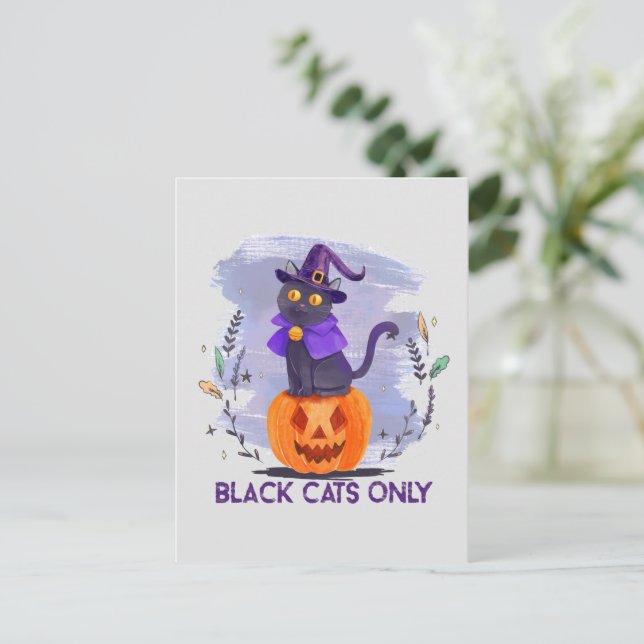 Black Cats Only – Witch Cat on Jack-O’-Lantern Postcard (Standing Front)