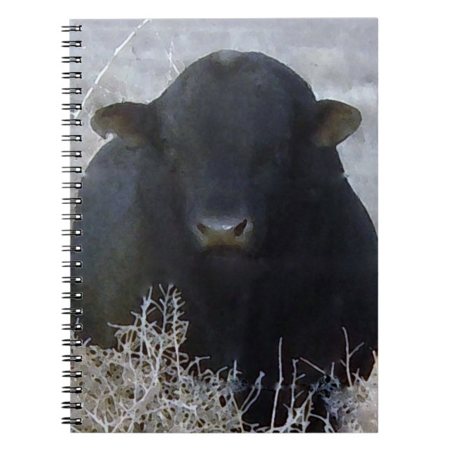 Black Cattle Bull Notebook (Front)