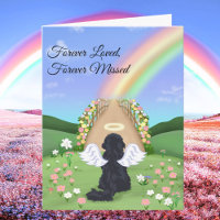 Black Cavalier King Charles Rainbow Bridge