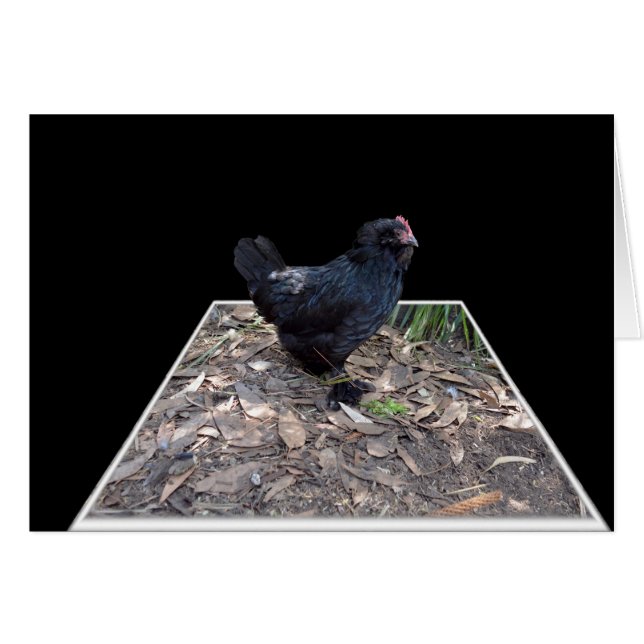 Black Chicken Pop Out,_ (Front Horizontal)