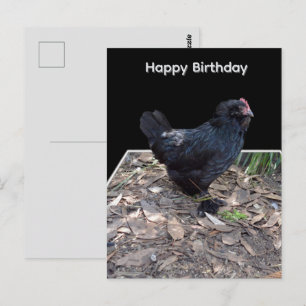 Black Chicken Pop Out Art, Birthday Postcard