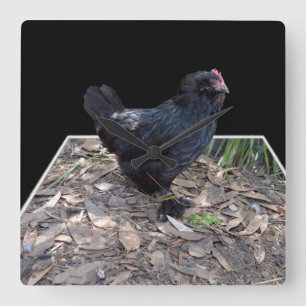 Black Chicken Pop Out,_Square Wall Clock
