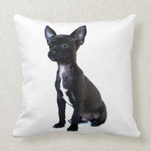 Black Chihuahua puppy Cushion
