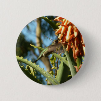 Black-Chinned Hummingbird in Flight 6 Cm Round Badge