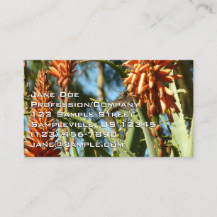 Black-Chinned Hummingbird in Flight Business Card