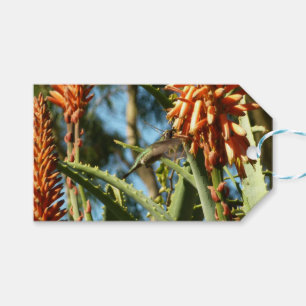 Black-Chinned Hummingbird in Flight Gift Tags