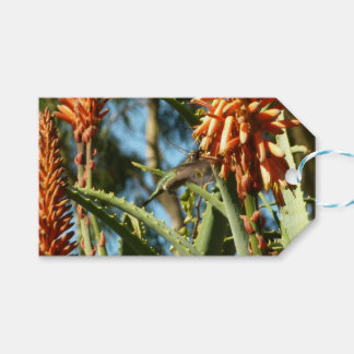 Black-Chinned Hummingbird in Flight Gift Tags