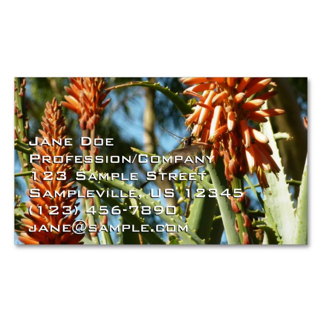 Black-Chinned Hummingbird in Flight Magnetic Business Card (Front)