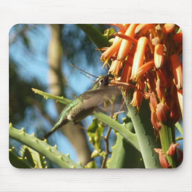 Black-Chinned Hummingbird in Flight Mouse Pad (Front)
