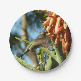 Black-Chinned Hummingbird in Flight Paper Plate