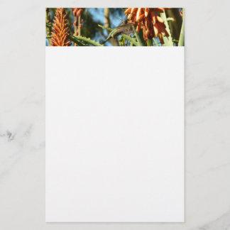 Black-Chinned Hummingbird in Flight Stationery