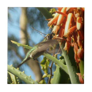 Black-Chinned Hummingbird in Flight Tile