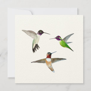 Black-chinned, Rufous and Anna's Hummingbirds Thank You Card