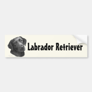 Black/Chocolate Labrador Retriever Bumper Sticker