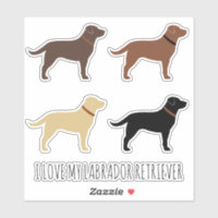 Black Chocolate Yellow and Red Labrador Retrievers