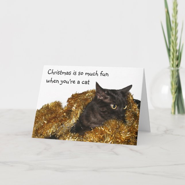 Black Christmas cat Holiday Card (Front)