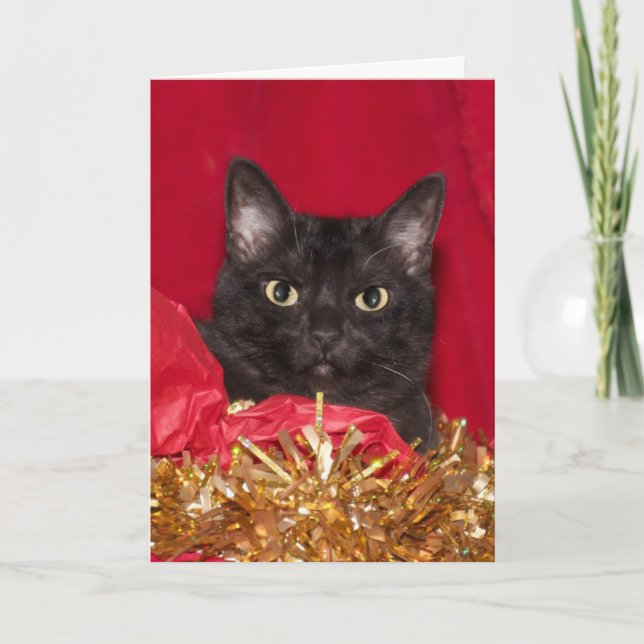 Black Christmas cat Holiday Card (Front)