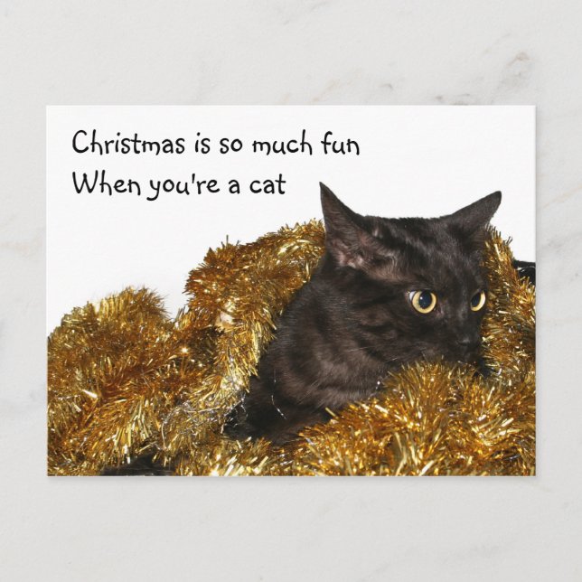 Black Christmas cat Holiday Postcard (Front)