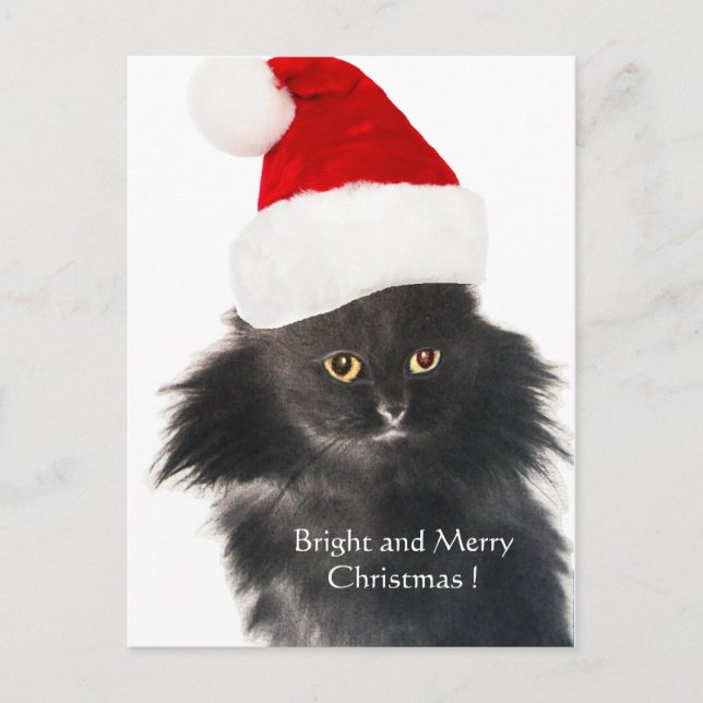 BLACK CHRISTMAS CAT WITH SANTA CLAUS HAT HOLIDAY POSTCARD (Front)
