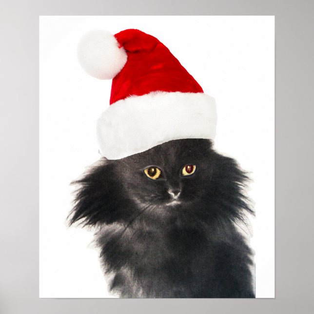 BLACK CHRISTMAS CAT WITH SANTA CLAUS HAT POSTER (Front)