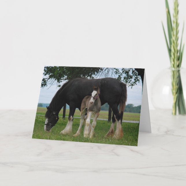 Black Clydesdale and Filly Card (Front)